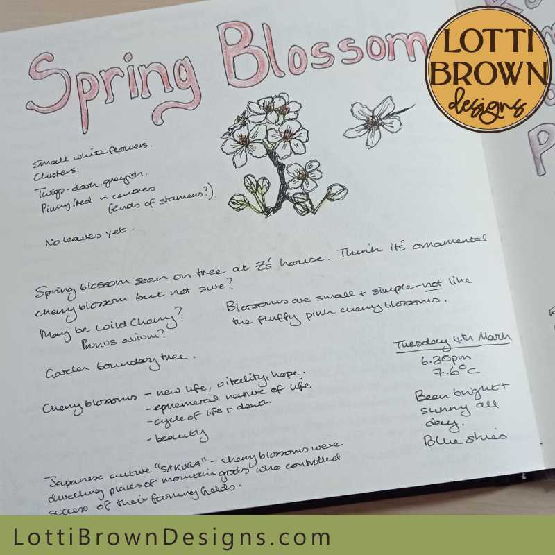 Spring blossom nature journal page