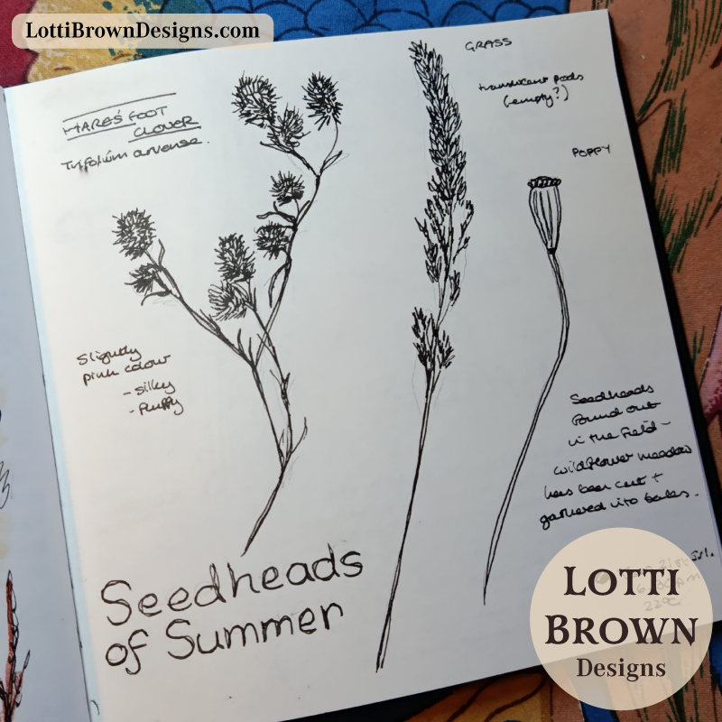 Summer seedheads journal page