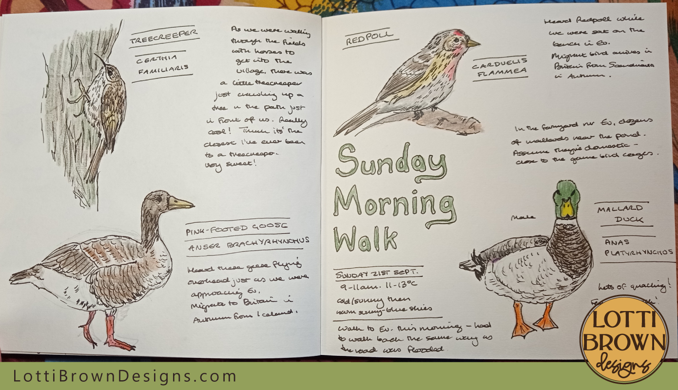 Sunday morning walk