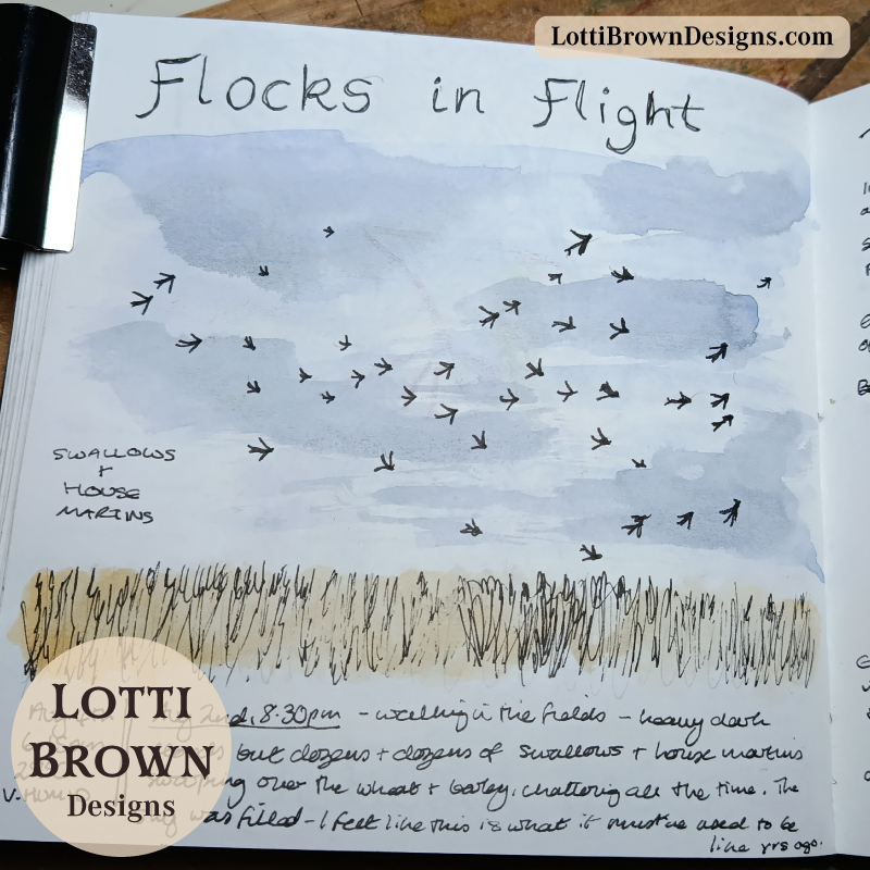 Swallow flocks in flight
