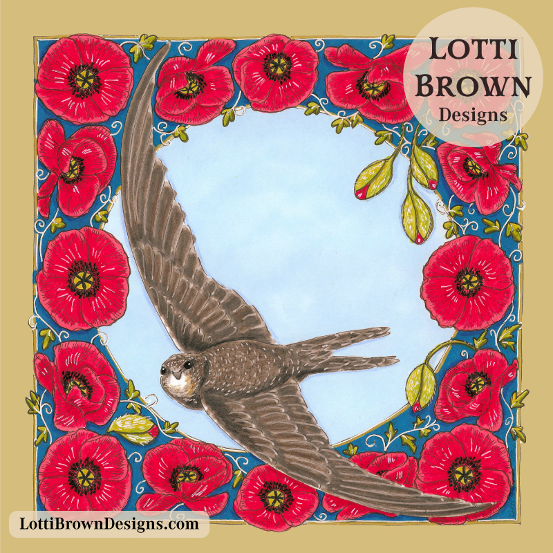 Swift art by Lotti Brown