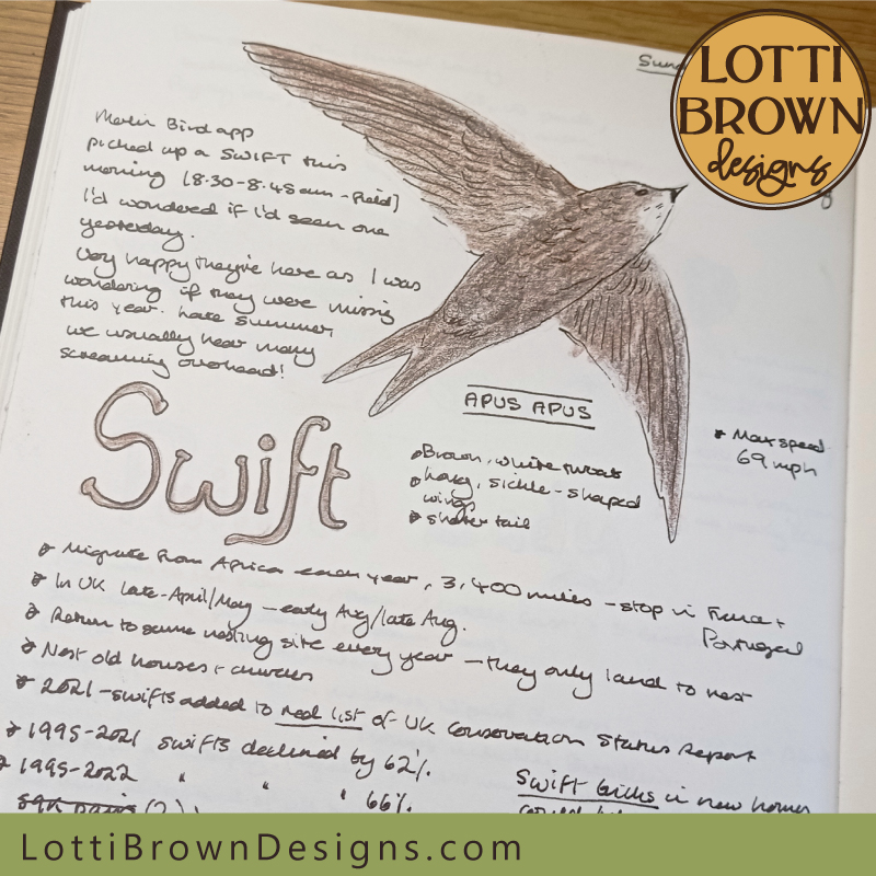 Swift nature journal page