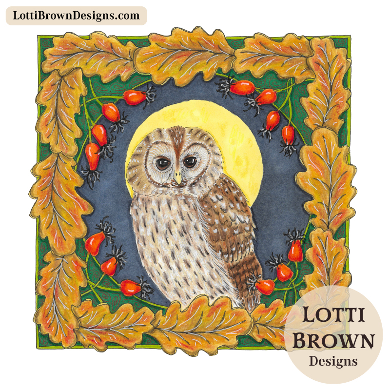 Hand drawn tawny owl artwork