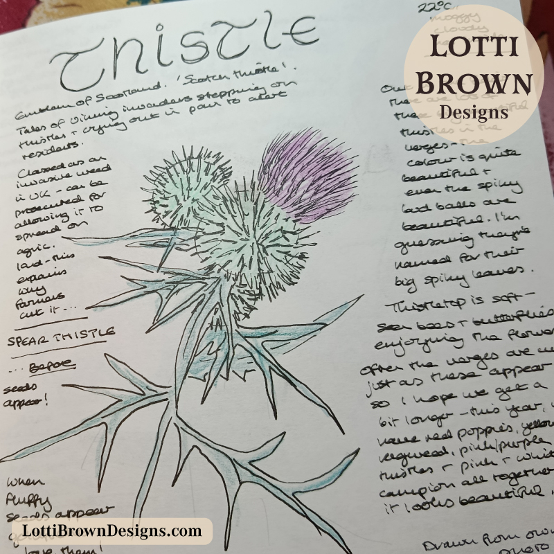 July thistle journal page