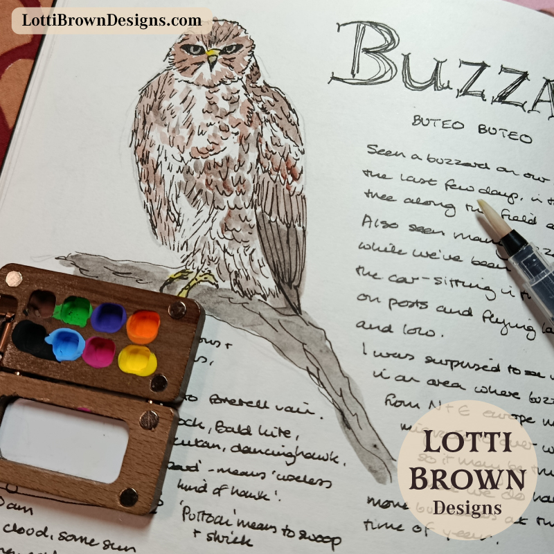 Trying out a travel watercolour kit in my nature journal