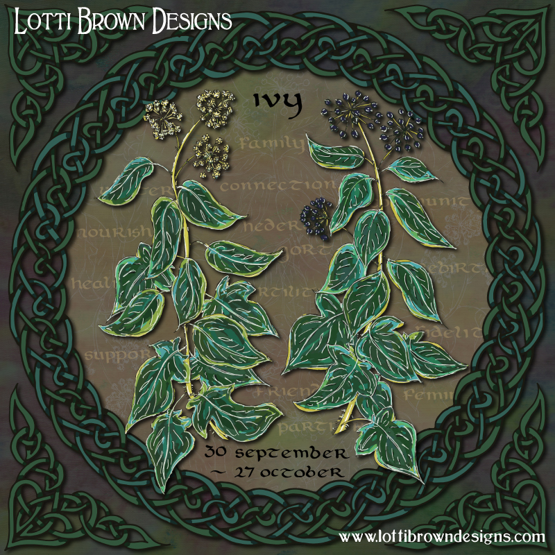 Celtic Tree Calendar art for Ivy
