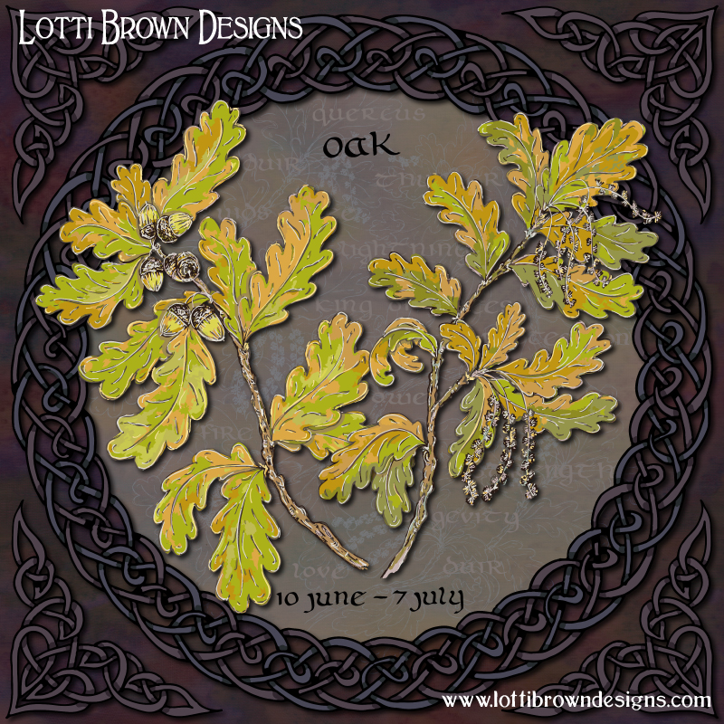 Celtic tree calendar oak tree art