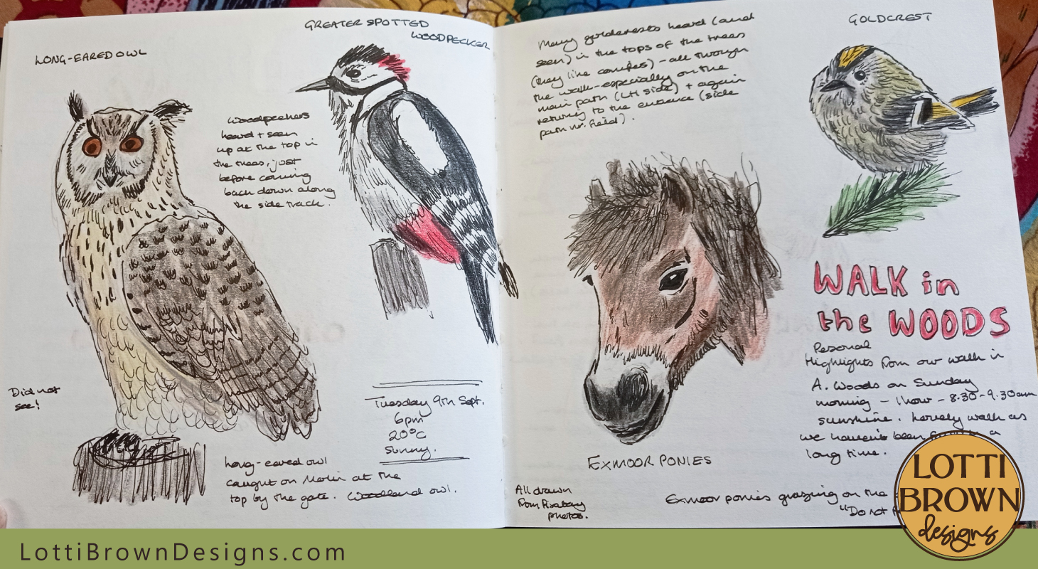 Woodland Walk nature journal page