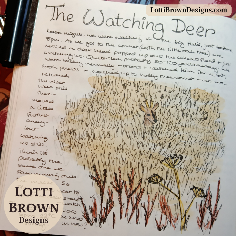Watching deer journal sketch