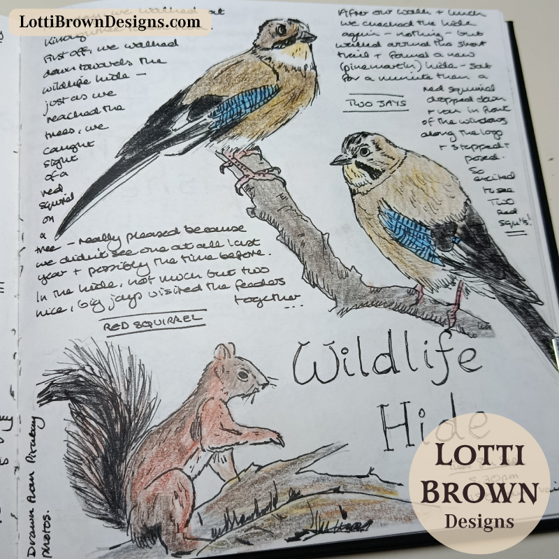 Nature journaling a wildlife hide experience