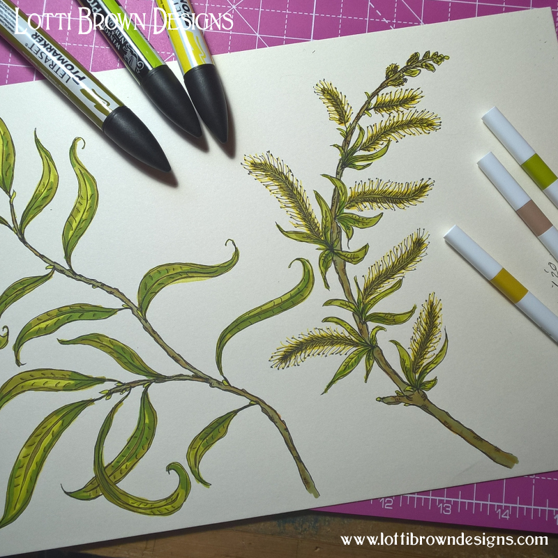 Willow drawings