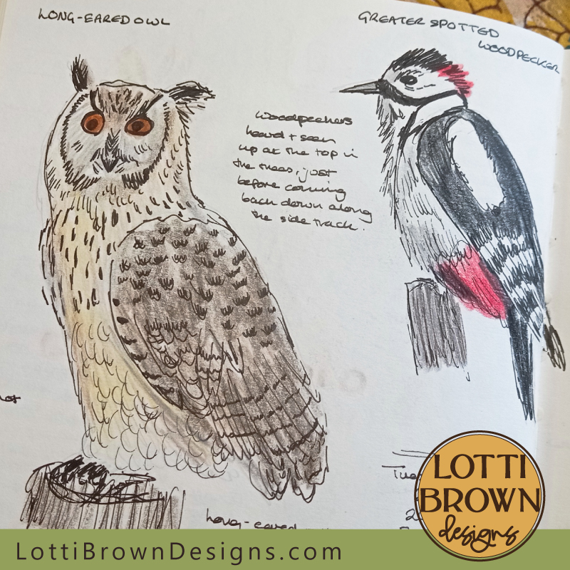 Woodpecker and long-eared owl