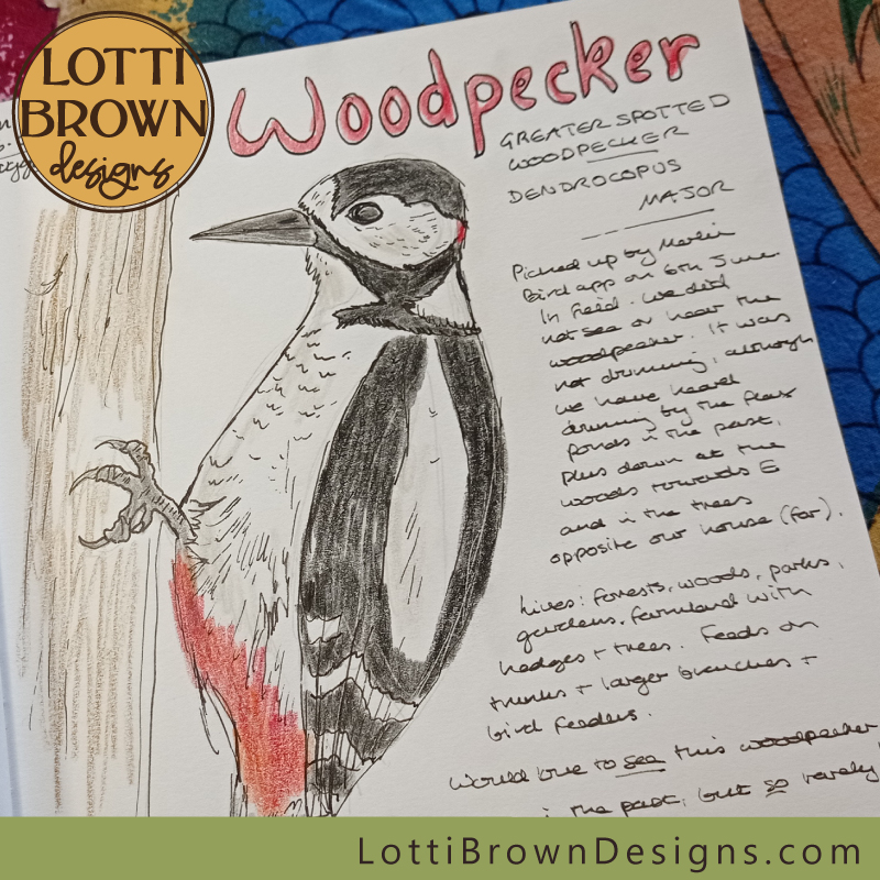 Woodpecker nature journal page