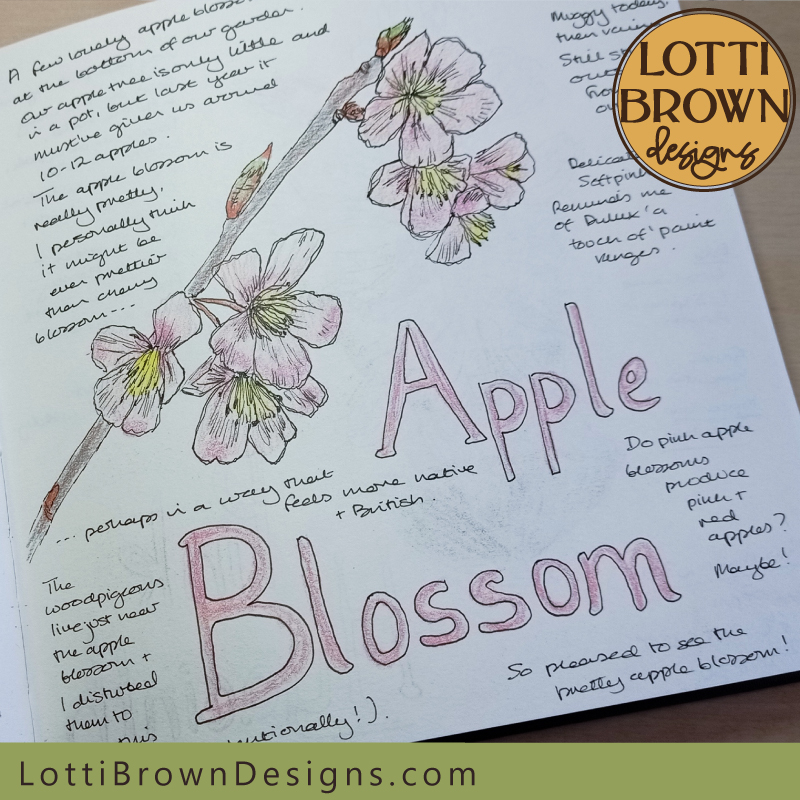 Apple blossom nature journal page