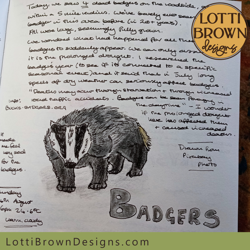 Badger nature journal page