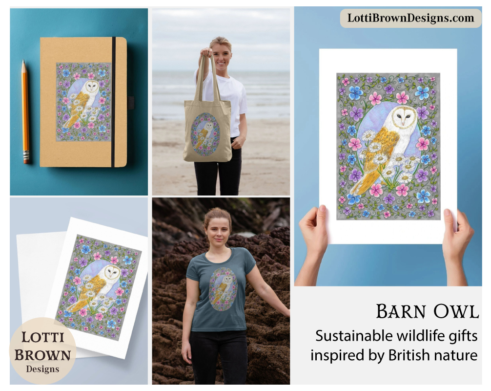 Barn owl art products