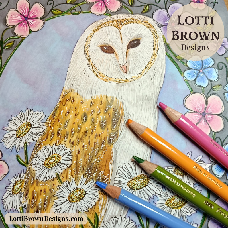 Barn owl drawing (detail)