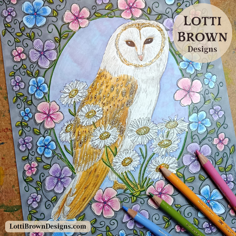 Barn owl drawing