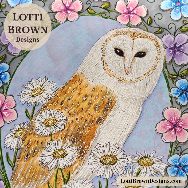 Barn owl drawing
