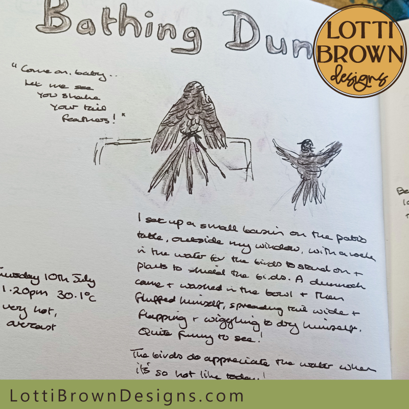 Bathing dunnock nature journal page