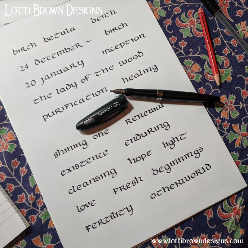 Birch tree calligraphy