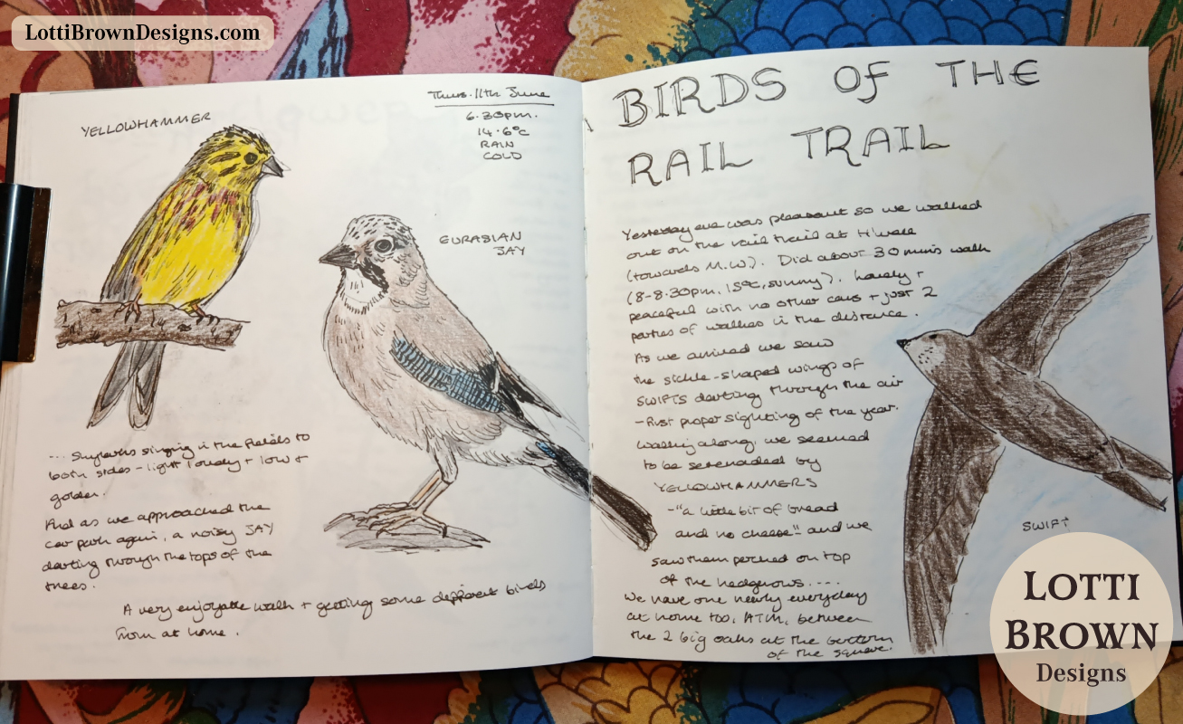 Birds of the rail trail nature journal page