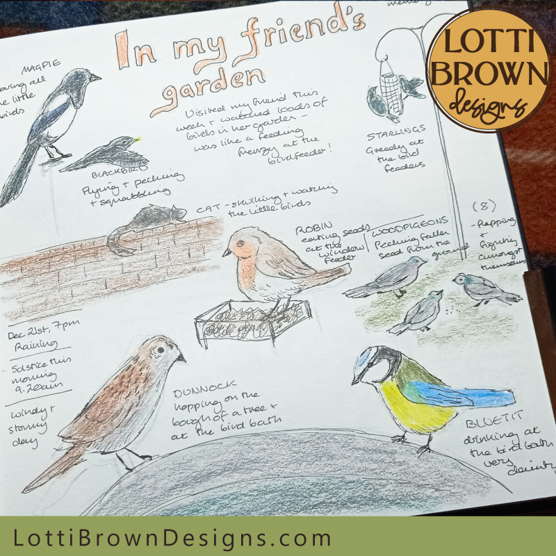 Birdspotting nature journal page
