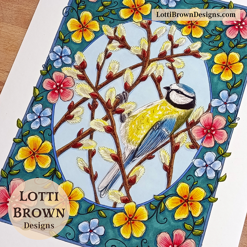 Blue tit hand-drawn illustration by Lotti Brown