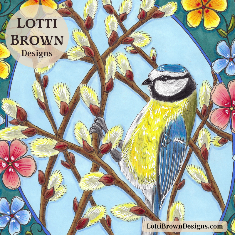 Bluetit illustration detail