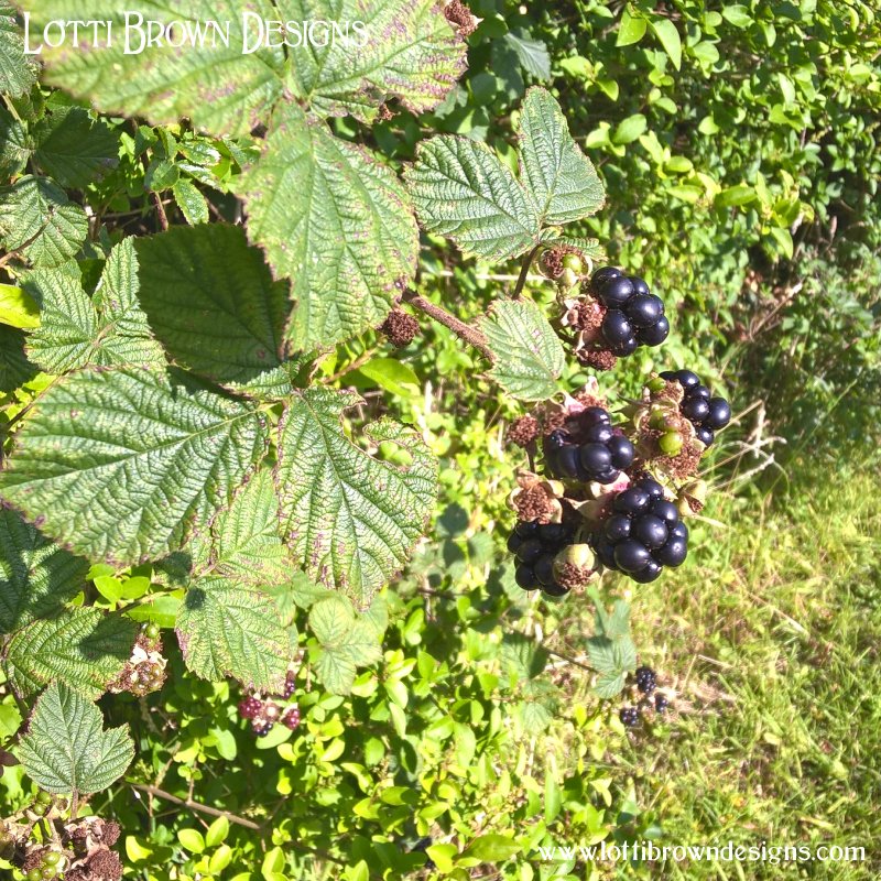 bramble berries