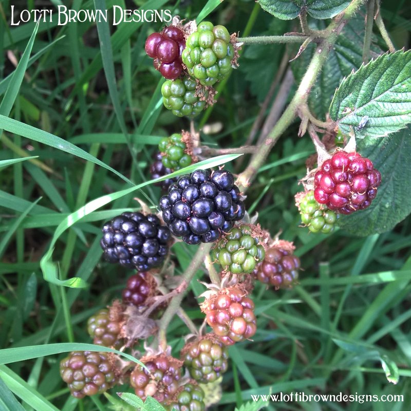 Bramble berries 10