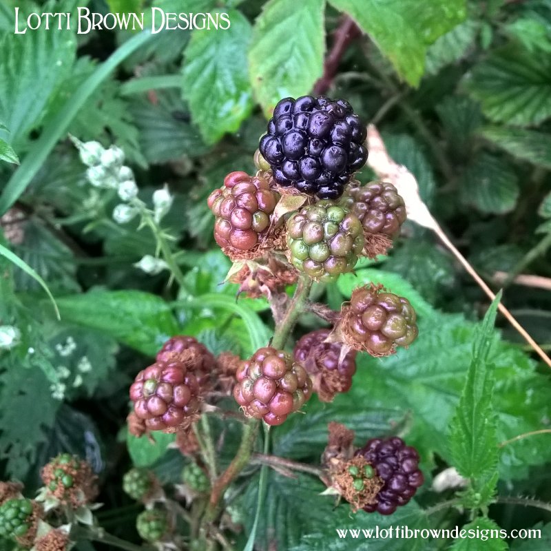 Bramble berries 13