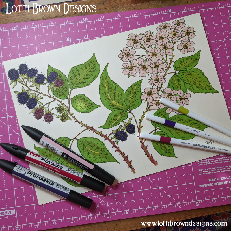 Bramble drawings