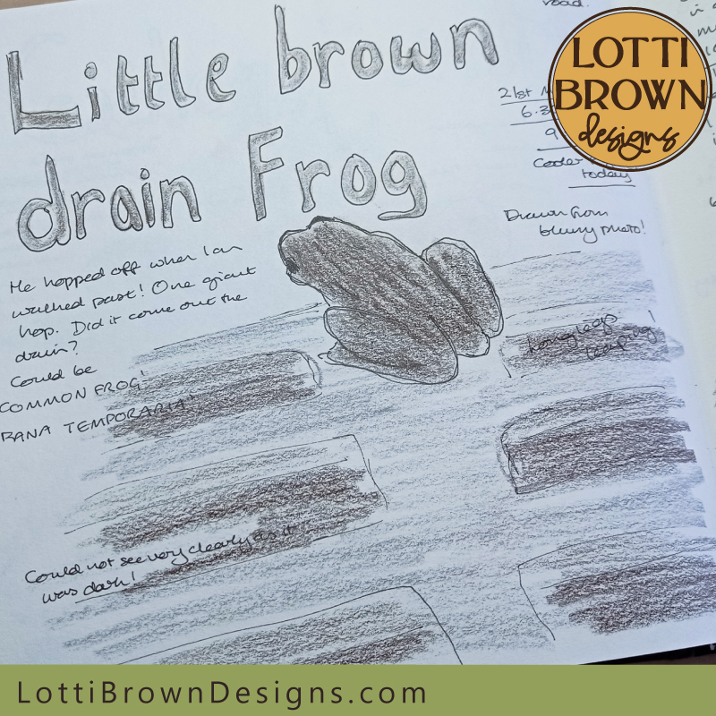 Little brown frog nature journal page