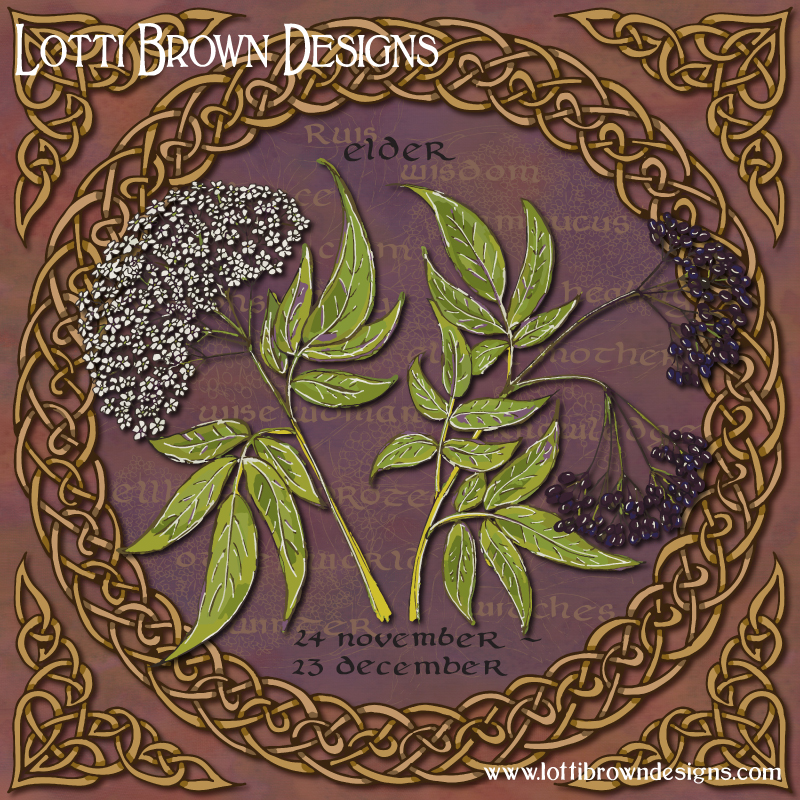 Celtic tree calendar art by Lotti Brown
