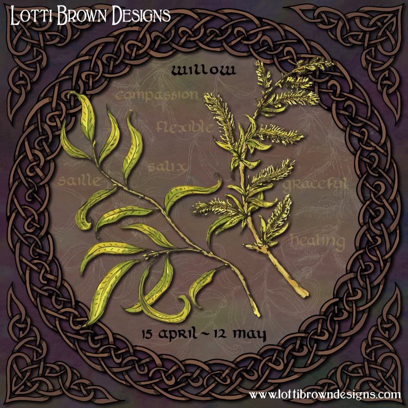 Celtic tree calendar Willow art