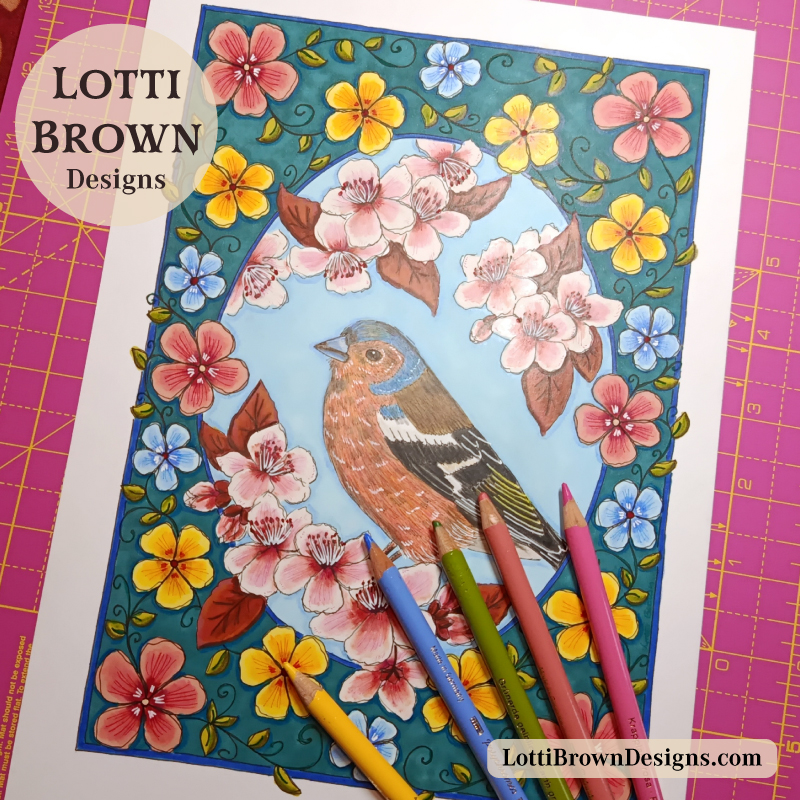 Chaffinch coloured pencil drawing