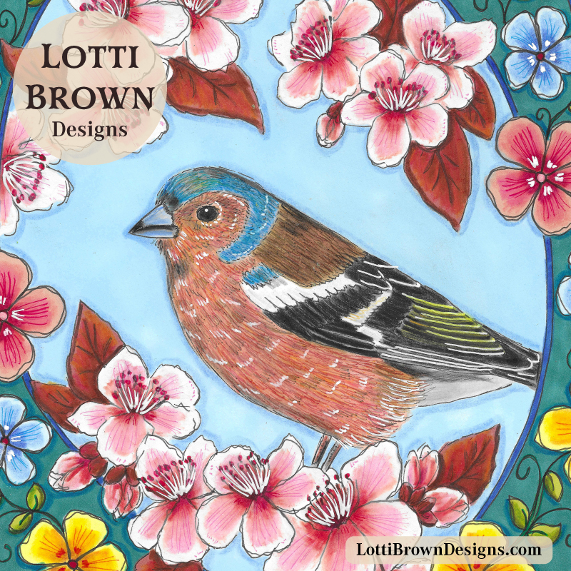 Chaffinch illustration detail