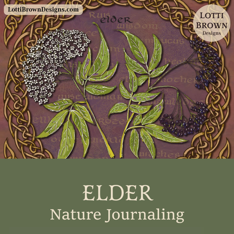 Elder nature journaling