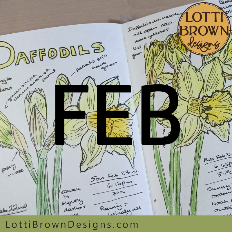 February nature journal pages