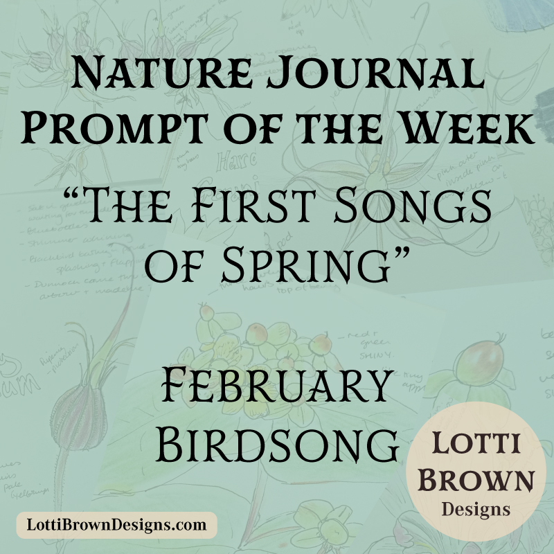 February nature journal prompt - first birdsong