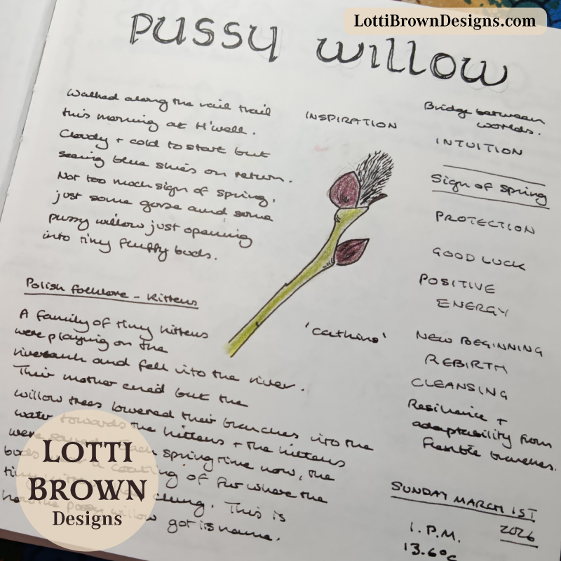 First pussy willow buds in early March