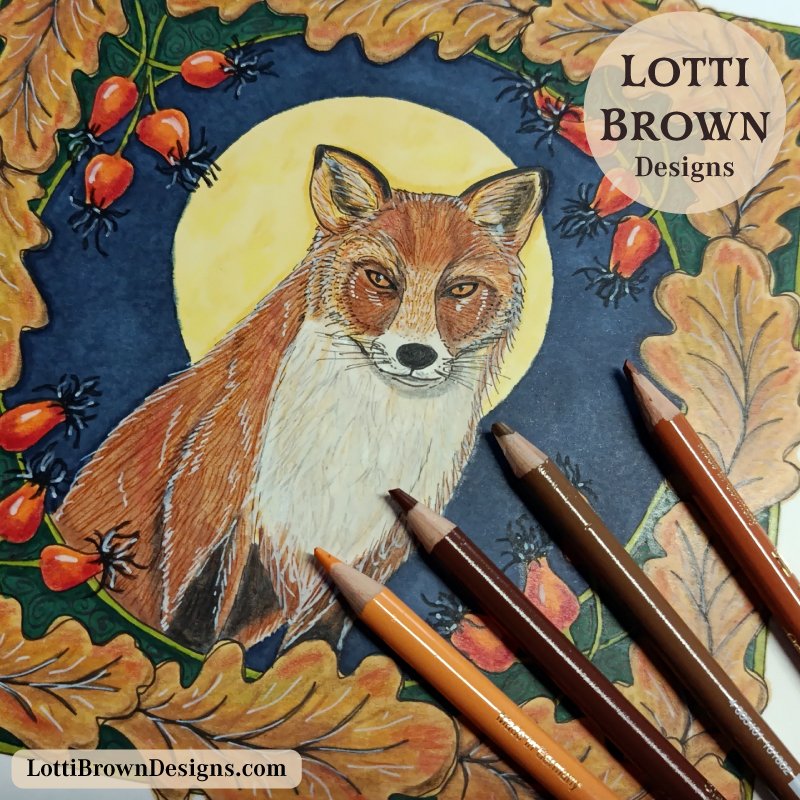 Fox drawing 04