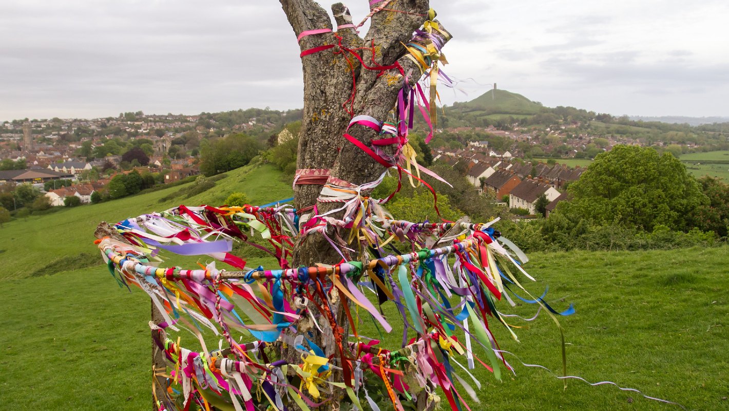 Glastonbury Thorn Wearyall Hill