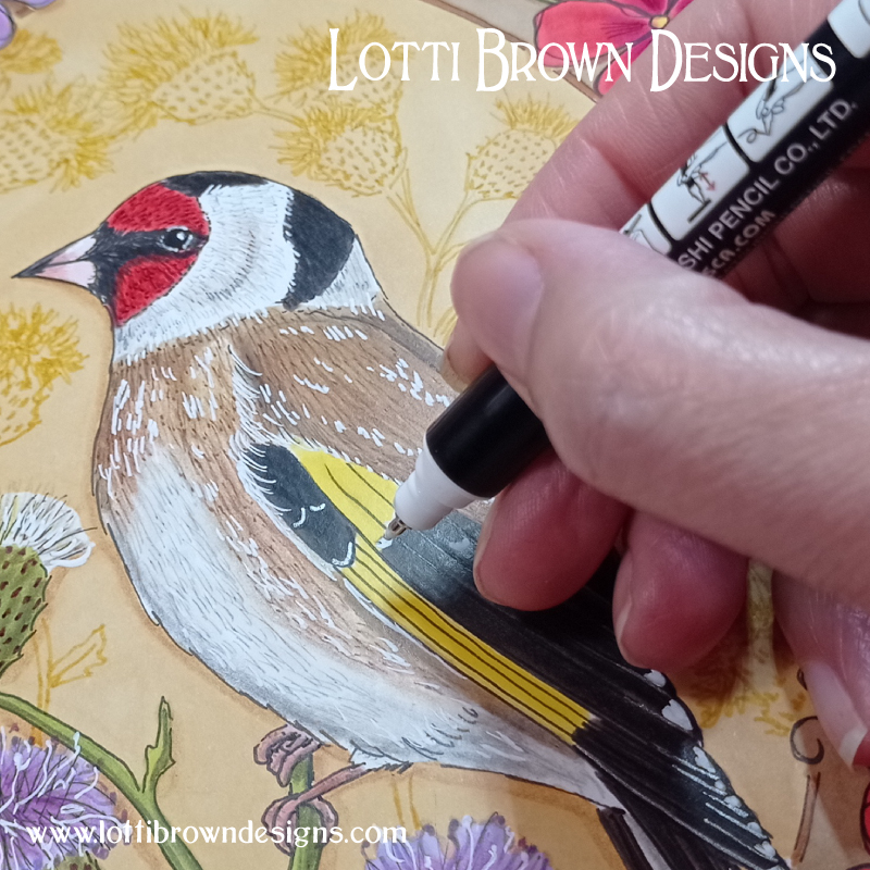 Hand-drawn goldfinch illustration with pens and coloured pencils