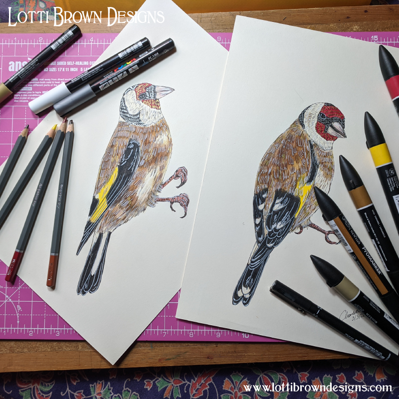 My goldfinch drawings