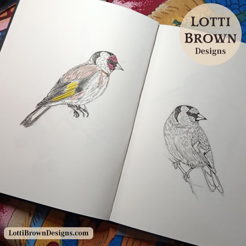 Sketching goldfinches in my sketchbook in preparation for drawing the final artwork