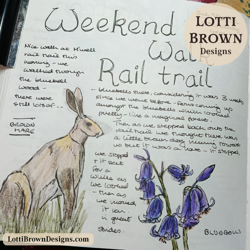 Hare and bluebell May walk recorded in my journal