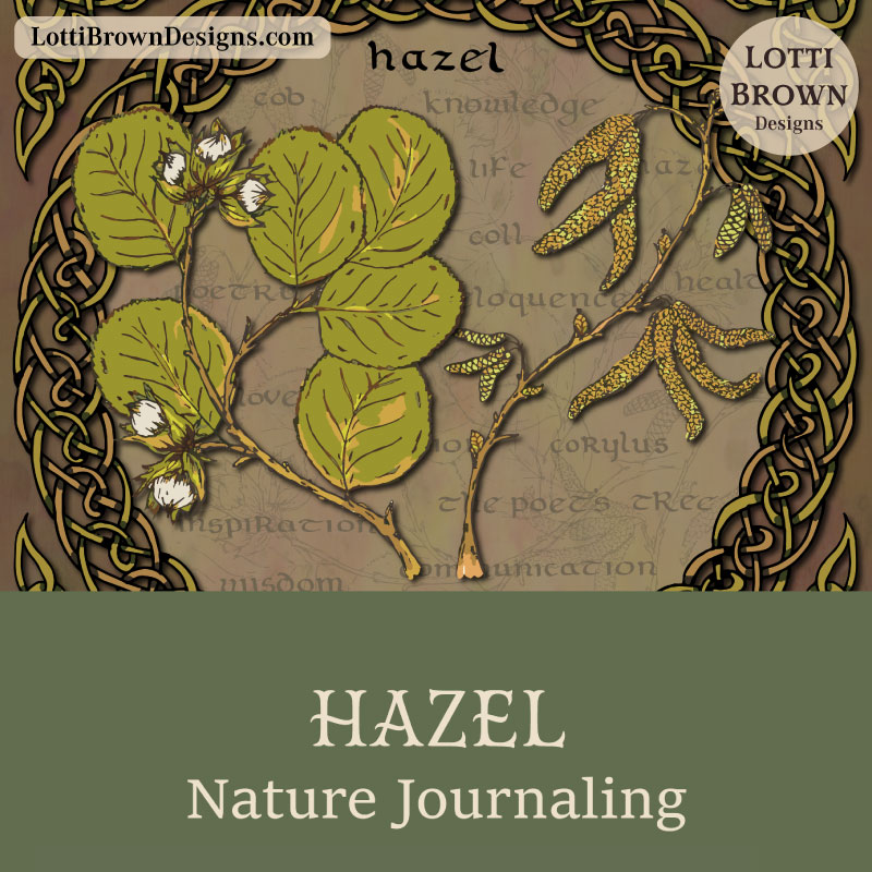 Hazel nature journaling