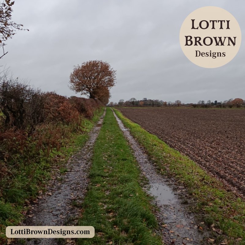 Quiet landscape inviting reflection and connection with nature